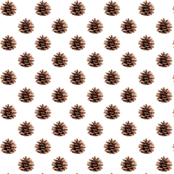 Pinecone Gift Wrap